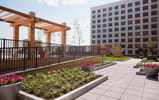 610834_1d398487a8aa4aecbfd24f601e1b6e66